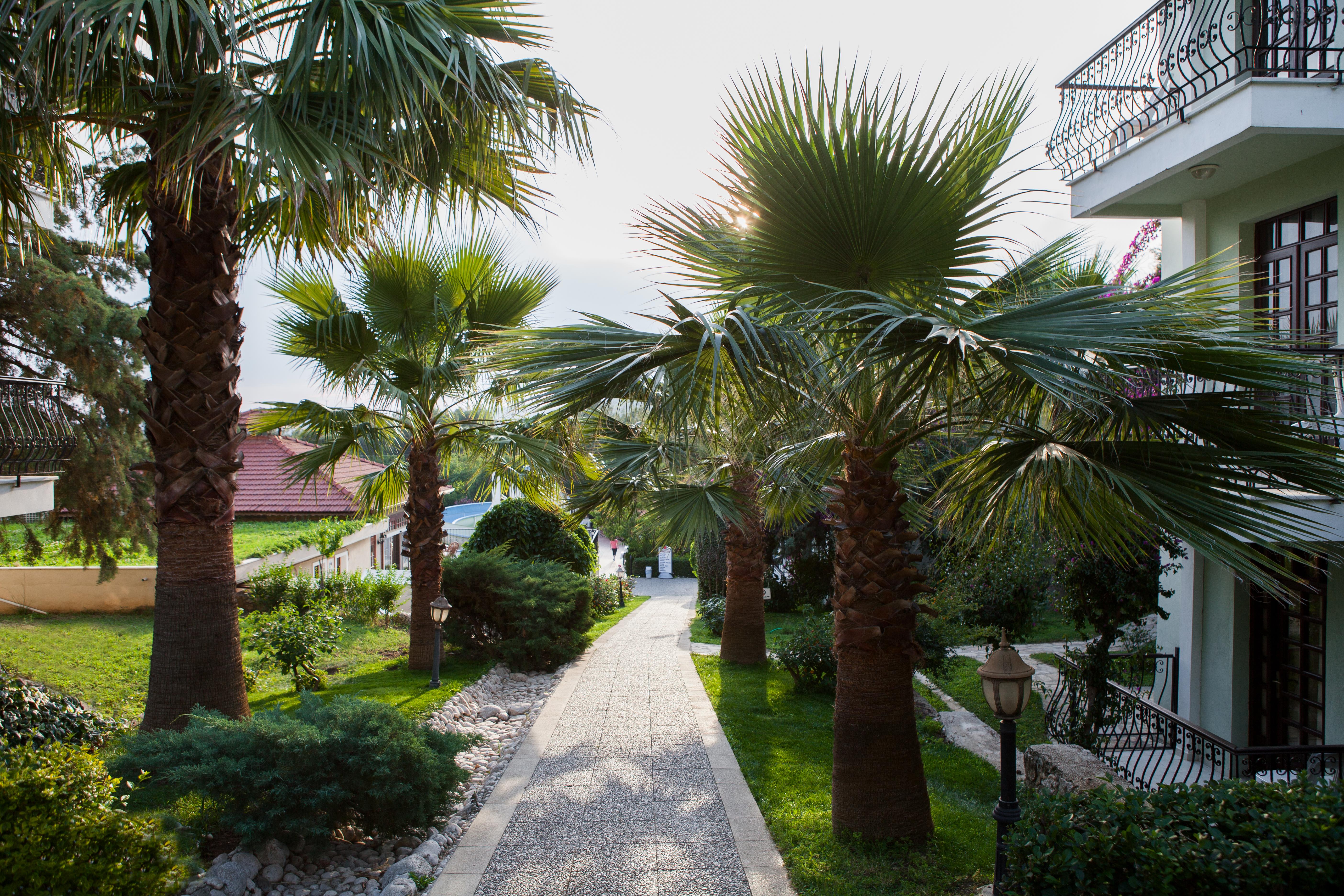 Hotel Greenland - All Inclusive Ölüdeniz Esterno foto